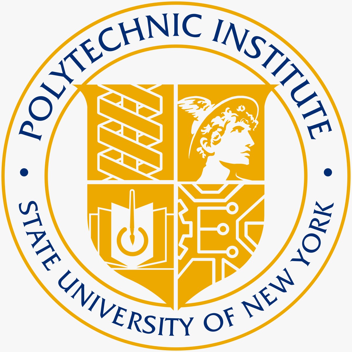 polytechnic institute and state university of new york