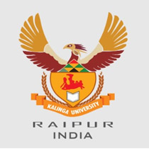 RAIPUR UNIVERSITY